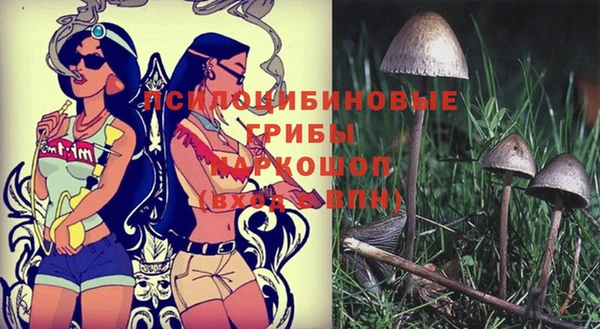 spice Армянск